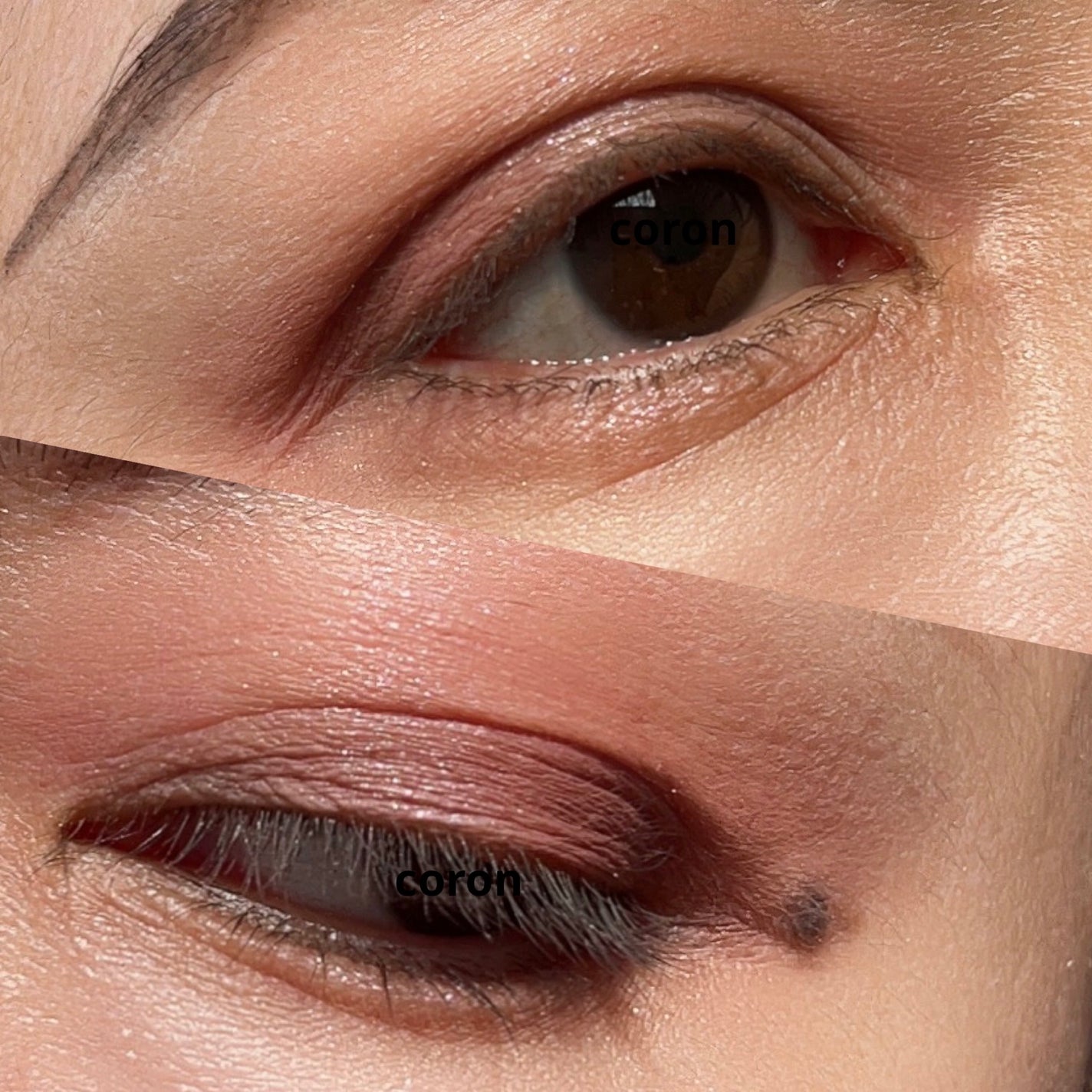 ジルスチュアート ムースブロウマスカラ/JILL STUART/眉マスカラを使ったクチコミ(2枚目)