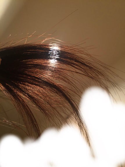 ホイップヘアカラー/ビューティラボ/ヘアカラーを使ったクチコミ(5枚目)