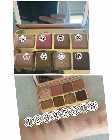 シェイク ユア パーム パームズ ミニ アイシャドウ パレット/Too Faced/パウダーアイシャドウを使ったクチコミ（2枚目）