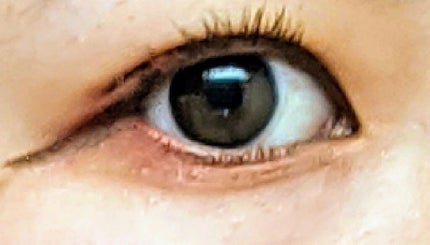 パーフェクトマルチアイズ/キャンメイク/アイシャドウパレットを使ったクチコミ(3枚目)