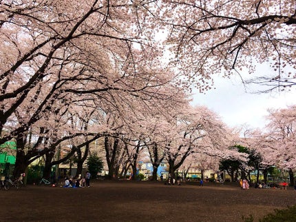 ウィークリージェル/HOMEI/ジェルネイルを使ったクチコミ(3枚目)