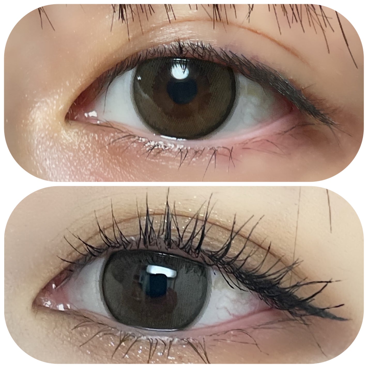 エバーカラーワンデーミリモア/エバーカラー/ワンデー(1DAY)カラコンを使ったクチコミ(4枚目)