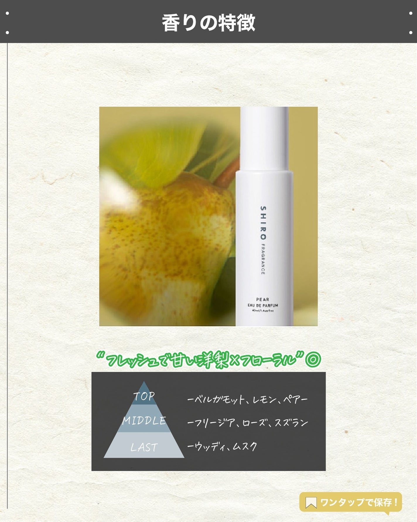 エスログ┊1日1分のモテ香水紹介 on LIPS 「.『シロ香水限定発売』🌳製品情報🌳SHIROペアーオードパルフ..」(3枚目)