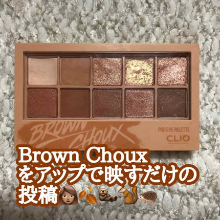 プロ アイ パレット/CLIO/アイシャドウパレットを使ったクチコミ(1枚目)