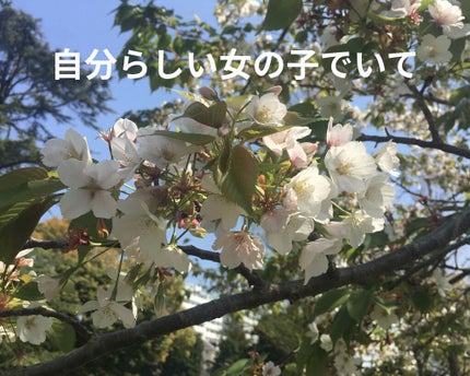 fresh_sounds_m4s on LIPS 「リップスを見ているとよくモテるためにこうするべき!みたいな投稿..」(1枚目)