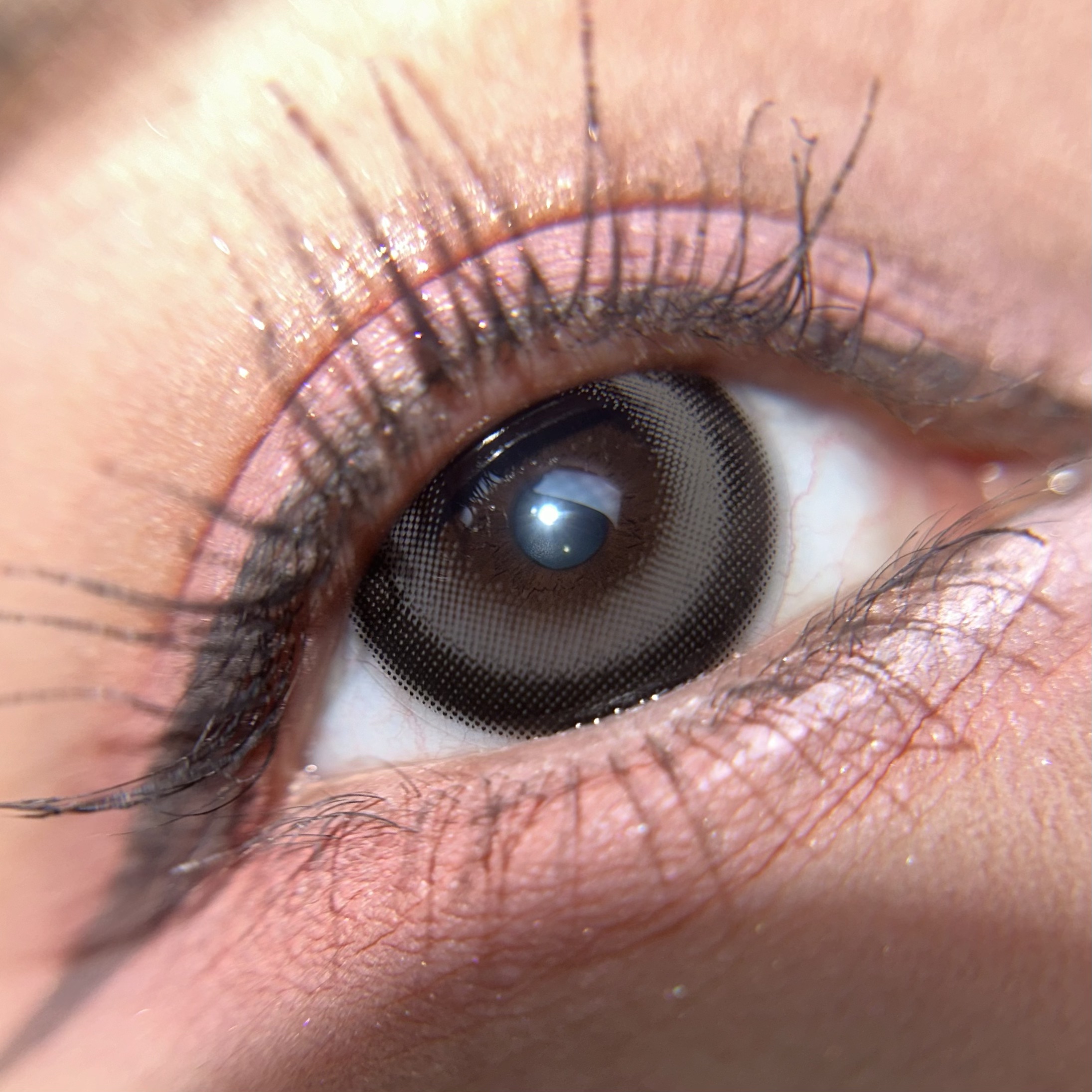 トリコニナル ワンデー/トリコニナル/ワンデー（１DAY）カラコンを使ったクチコミ（3枚目）