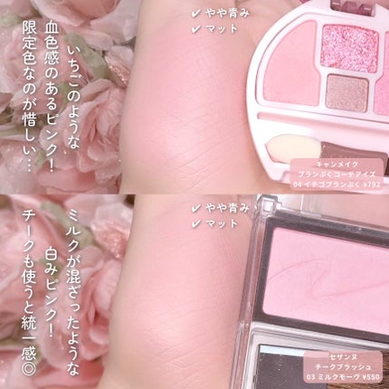 ケイト ザ アイカラー/KATE/単色アイシャドウを使ったクチコミ(5枚目)