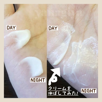 カネボウ クリーム イン ナイト/KANEBO/フェイスクリームを使ったクチコミ(2枚目)