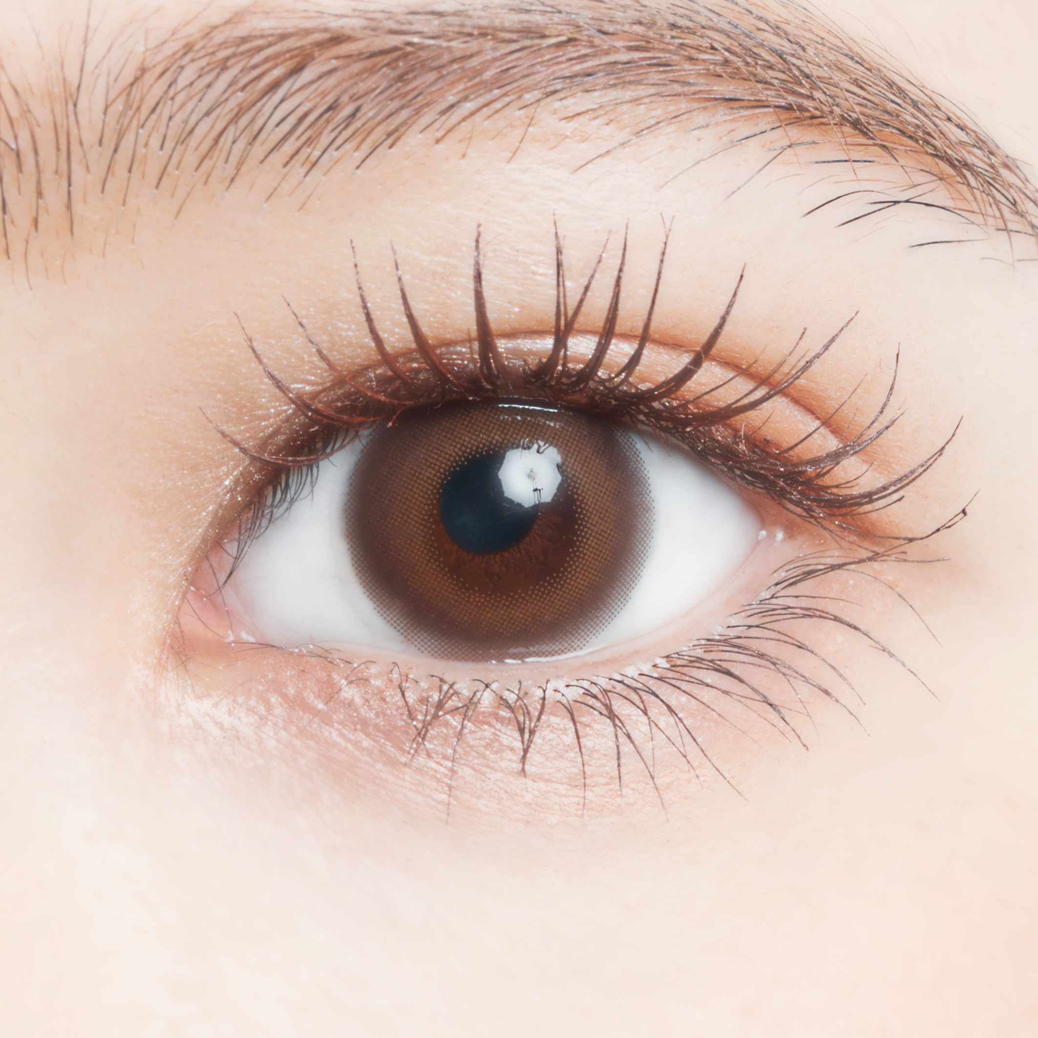 U.P.D. 1day シロップブラウン