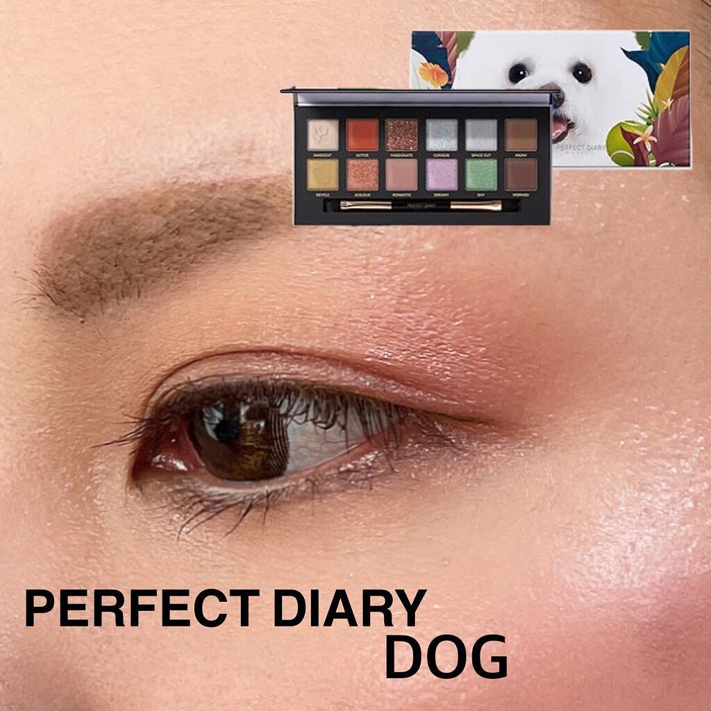 エクスプローラ12色 動物アイシャドウパレット/PERFECT DIARY/アイシャドウパレットを使ったクチコミ(1枚目)