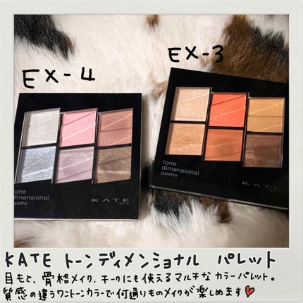 トーンディメンショナルパレット/KATE/メイクアップキットを使ったクチコミ(1枚目)