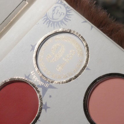 Monster Book of Monsters Palette/SHEGLAM/アイシャドウパレットを使ったクチコミ(3枚目)
