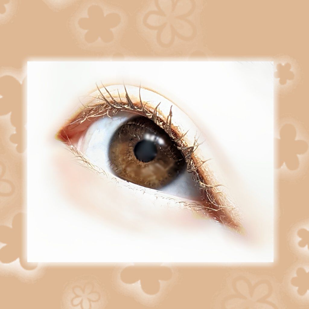 ロングステイフィルム/シアーズ/マスカラを使ったクチコミ（2枚目）