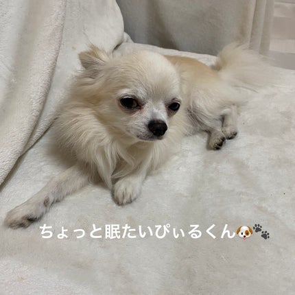 Ketchup or Makeup/FENTY BEAUTY BY RIHANNA/ジェル・クリームアイシャドウを使ったクチコミ(6枚目)