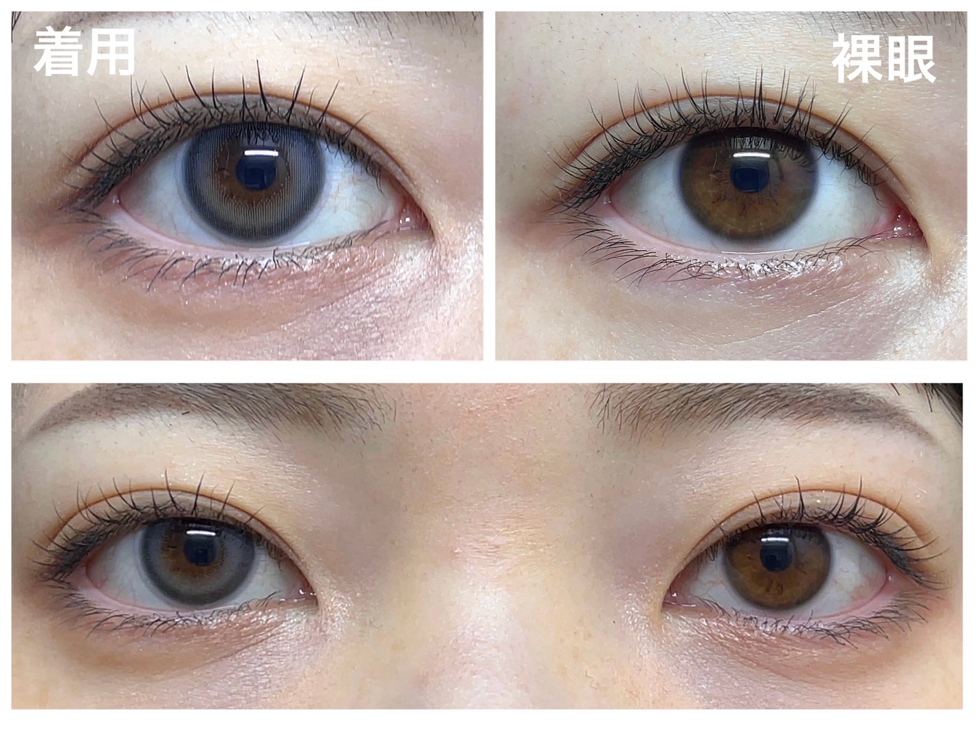 ReVIA 1day/ReVIA/ワンデー(1DAY)カラコンを使ったクチコミ(2枚目)