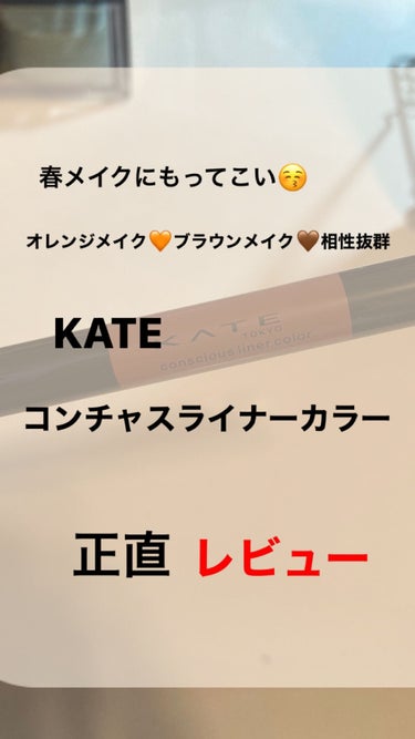 コンシャスライナーカラー 01 ダスティーオレンジ/KATE/リキッドアイライナーを使ったクチコミ（1枚目）