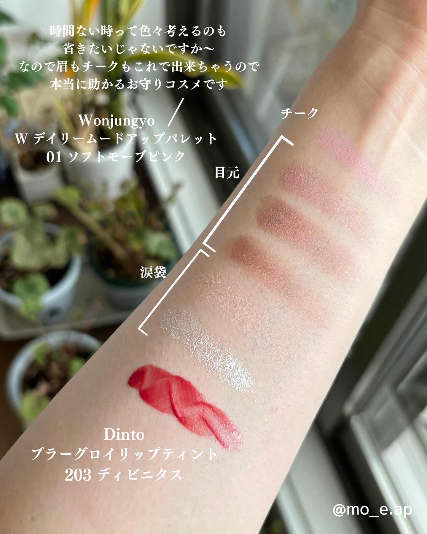 ブラーグロイリップティント/Dinto/リップティントを使ったクチコミ（2枚目）