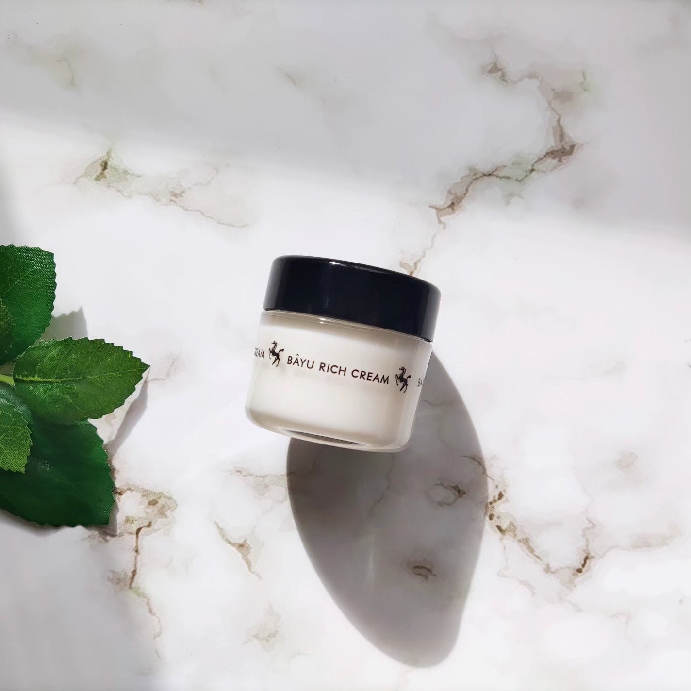 リモイストクリーム<リッチタイプ>/明色/フェイスクリームを使ったクチコミ(1枚目)