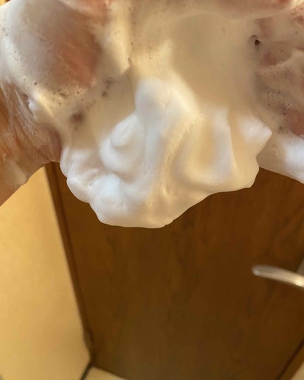 パーフェクトホワイトクレイ/SENKA(専科)/洗顔フォームを使ったクチコミ(3枚目)