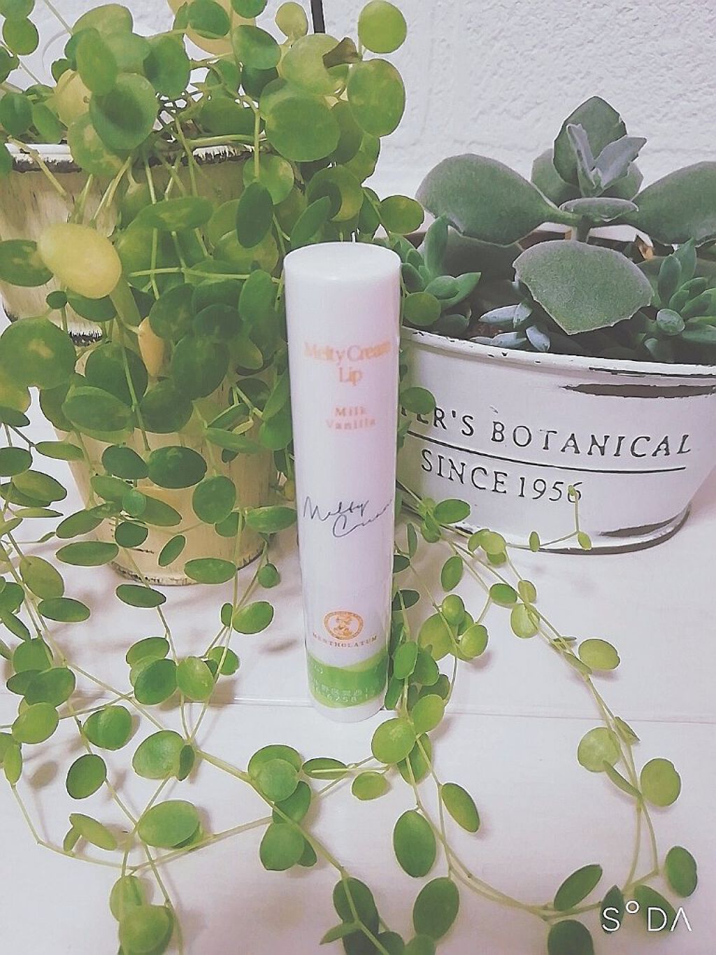 メルティクリームリップ/メンソレータム/リップクリームを使ったクチコミ（1枚目）