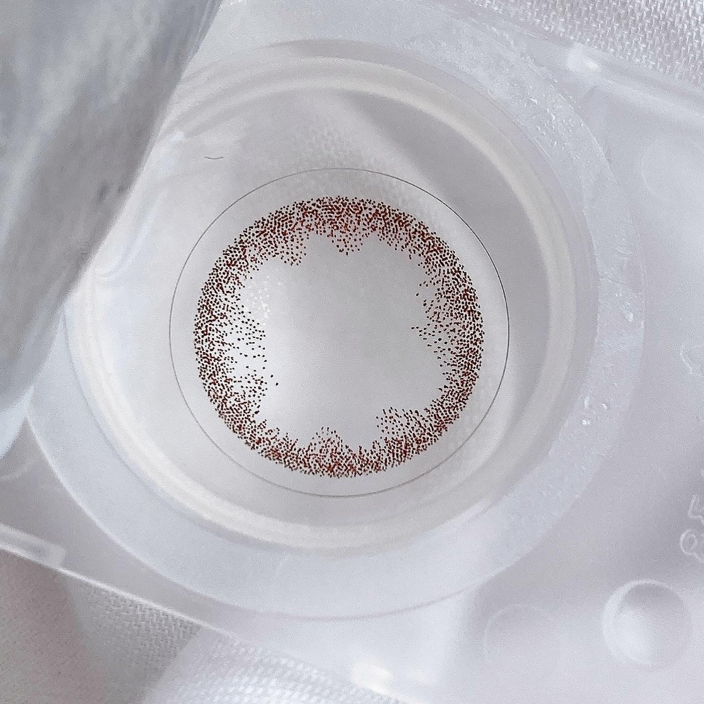 OvE（オヴィ） 1day L3/OvE/ワンデー（１DAY）カラコンを使ったクチコミ（2枚目）