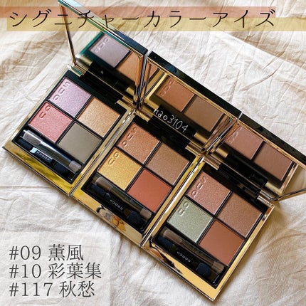 シグニチャー カラー アイズ/SUQQU/アイシャドウパレットを使ったクチコミ(9枚目)