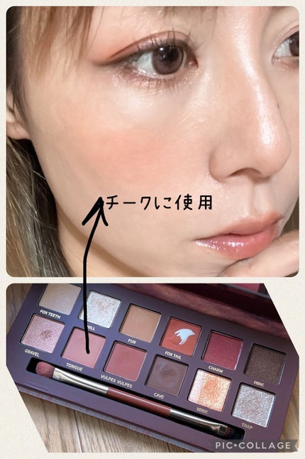 エクスプローラ12色 動物アイシャドウパレット/PERFECT DIARY/アイシャドウパレットを使ったクチコミ(6枚目)