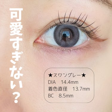 Angelcolor Bambi Series 1day  スワングレー/AngelColor/ワンデー（１DAY）カラコンを使ったクチコミ（3枚目）