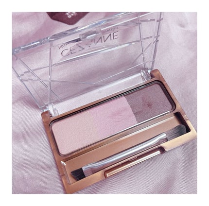 ノーズ&アイブロウパウダー/CEZANNE/パウダーアイブロウを使ったクチコミ(1枚目)