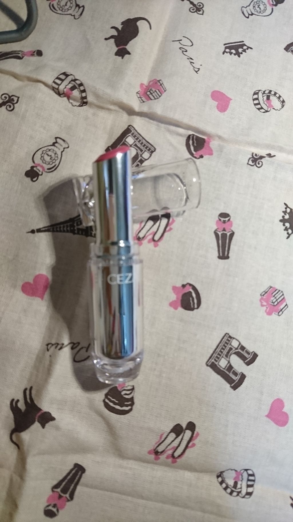 ラスティンググロスリップ/CEZANNE/口紅を使ったクチコミ(1枚目)