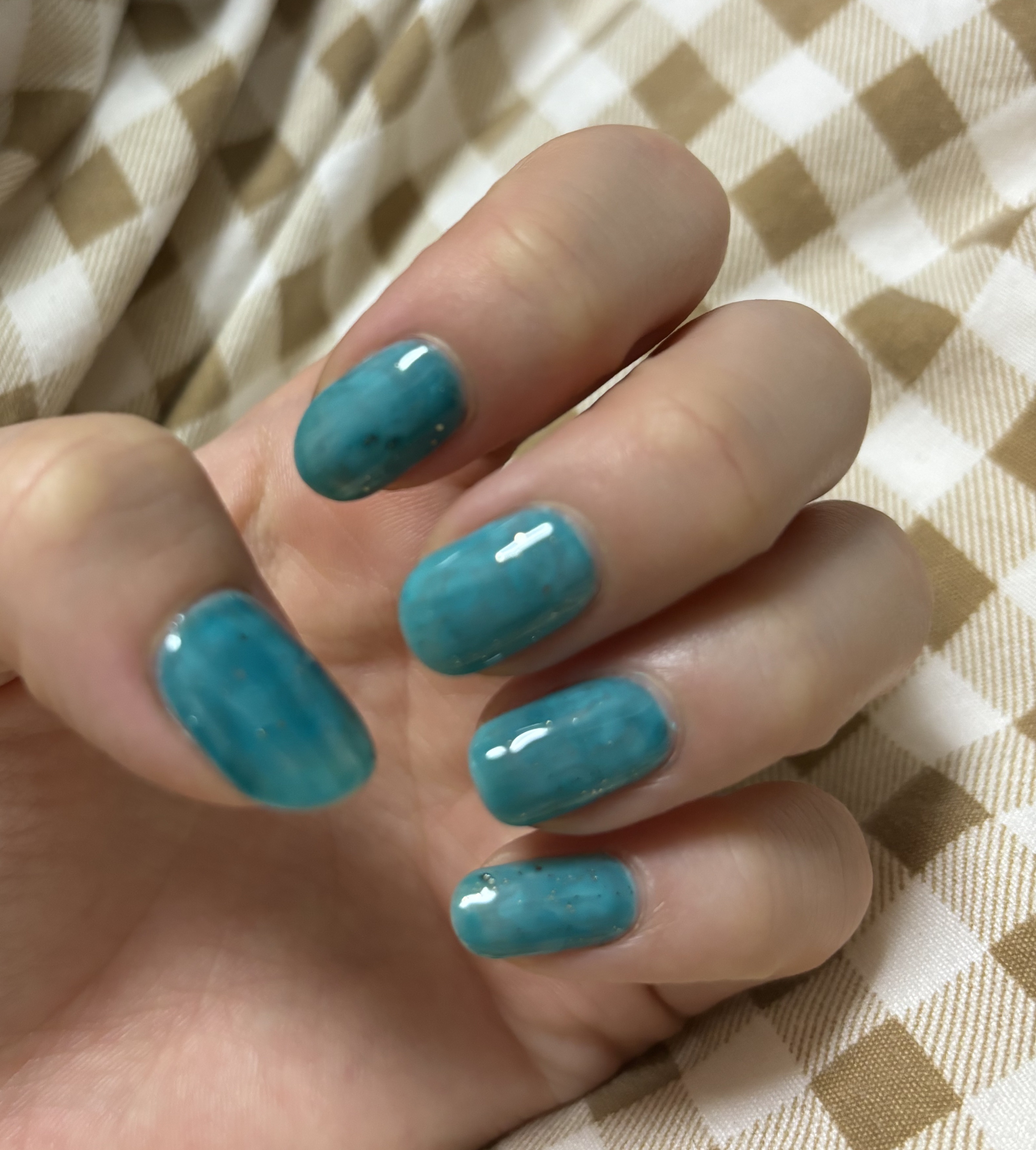 パル カラージェル/キャンドゥ/ジェルネイルを使ったクチコミ（1枚目）