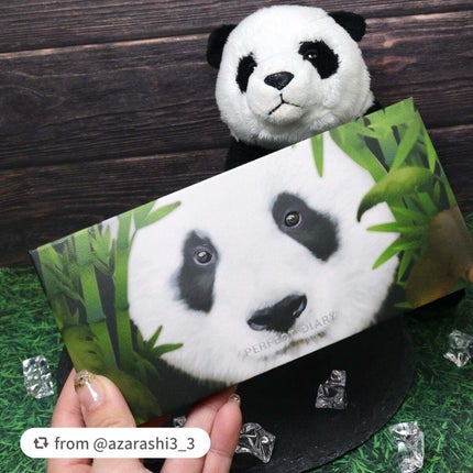 エクスプローラ12色 動物アイシャドウパレット/PERFECT DIARY/アイシャドウパレットを使ったクチコミ(2枚目)