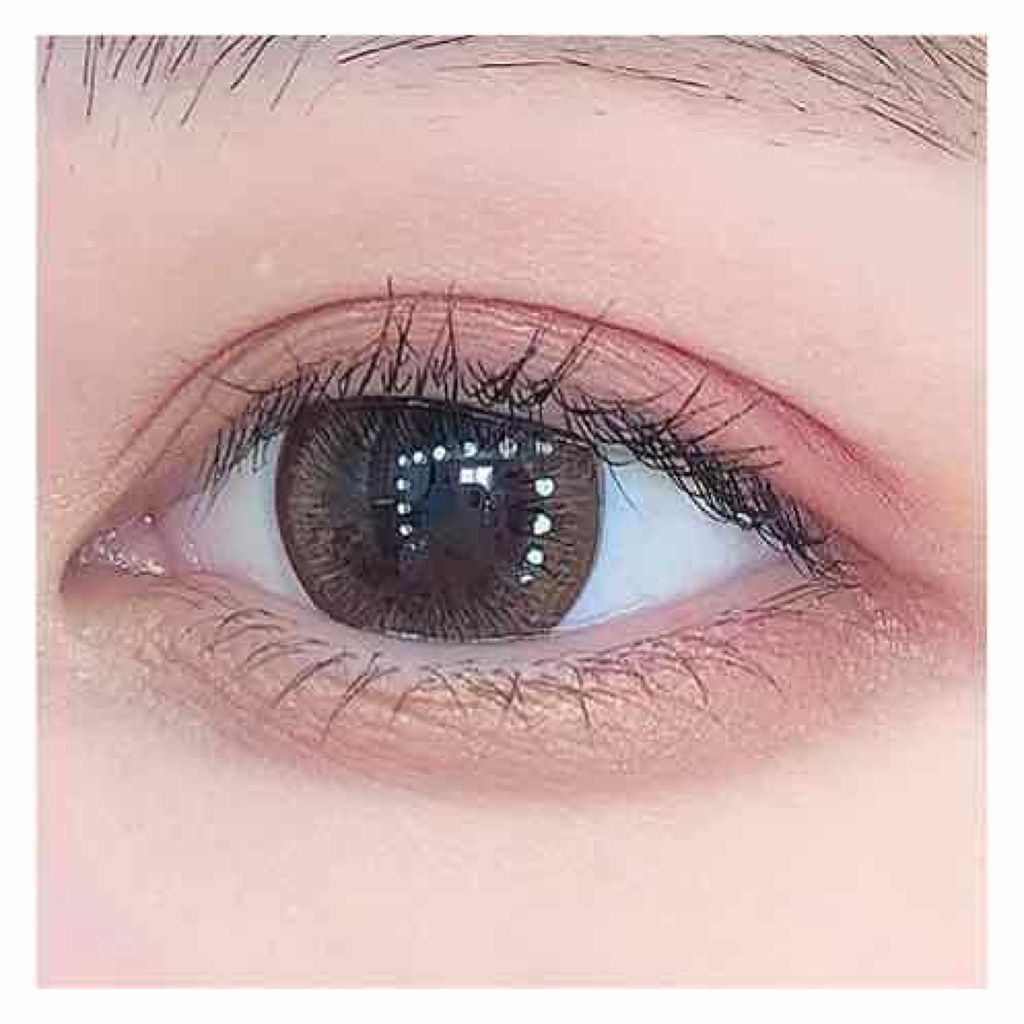 NOEVIR　メイクアップキット2019秋 NOEVIR メイクアップキット2019秋 NOEVIR メイクアップキット