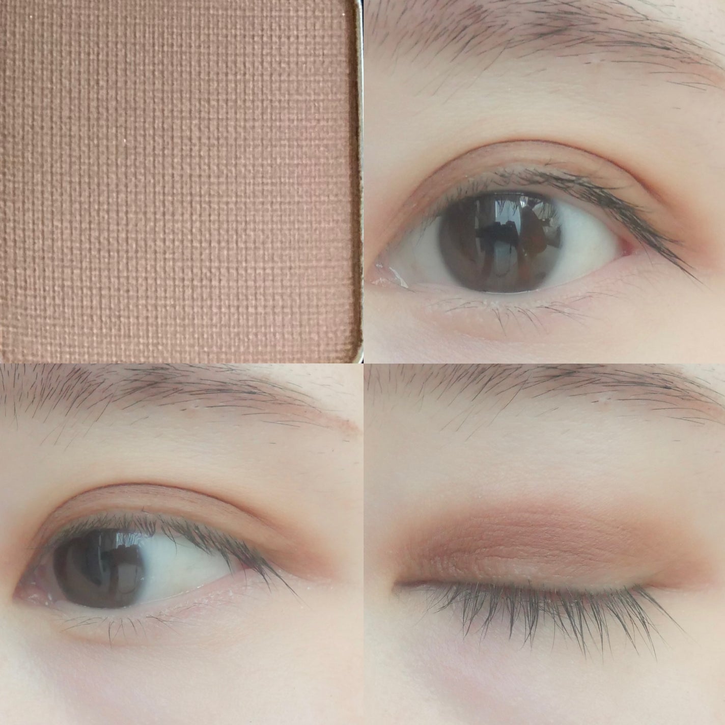 アイカラーパレット/heme/アイシャドウパレットを使ったクチコミ(6枚目)