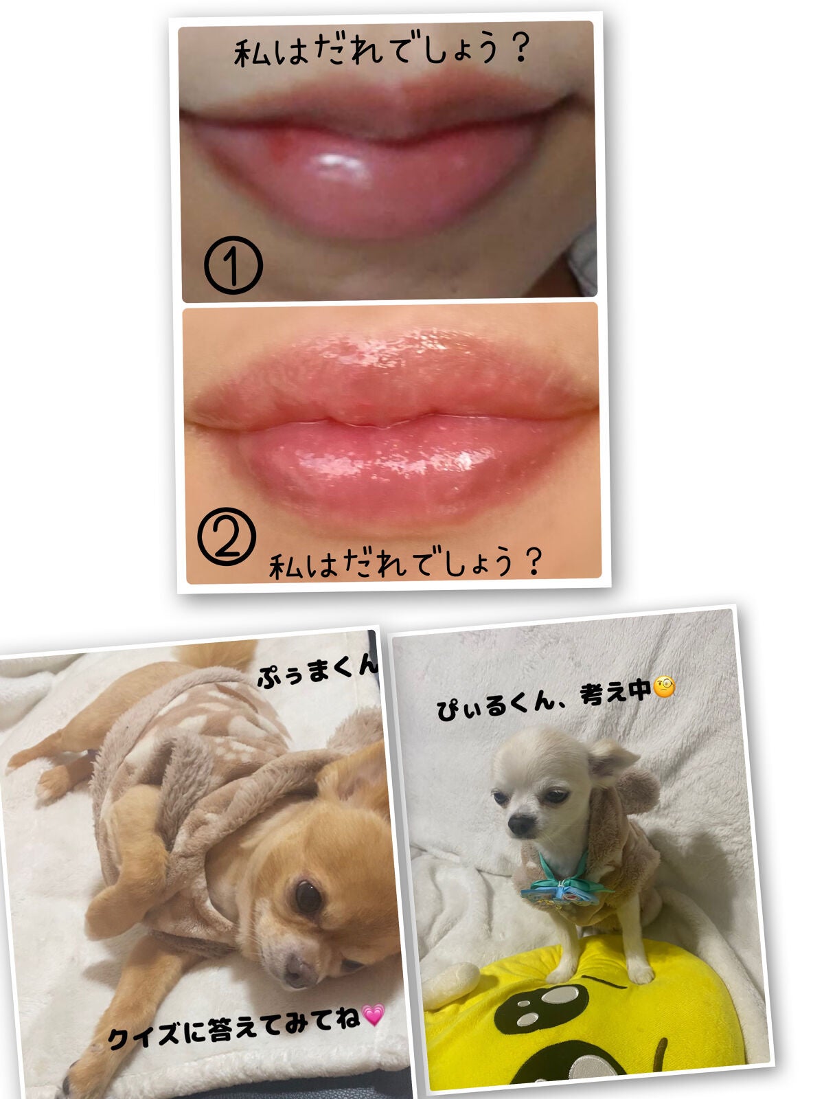 【旧】ディオール アディクト リップ マキシマイザー/Dior/リップグロスを使ったクチコミ(1枚目)