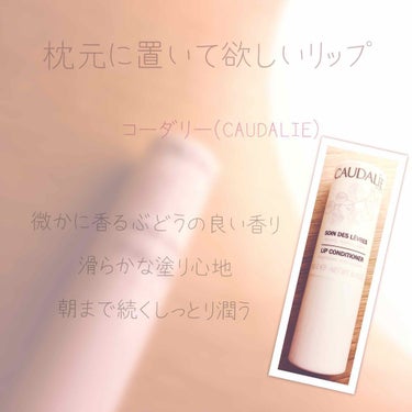 ❁︎コーダリー（CAUDALIE）
❁︎リップコンディショナー


こちらのリップコンディショナーは
心からオススメしたい(´༎ຶ۝༎ຶ)♡♡♡

マキアージュやシャネルのリップにも
後れを取らない1品