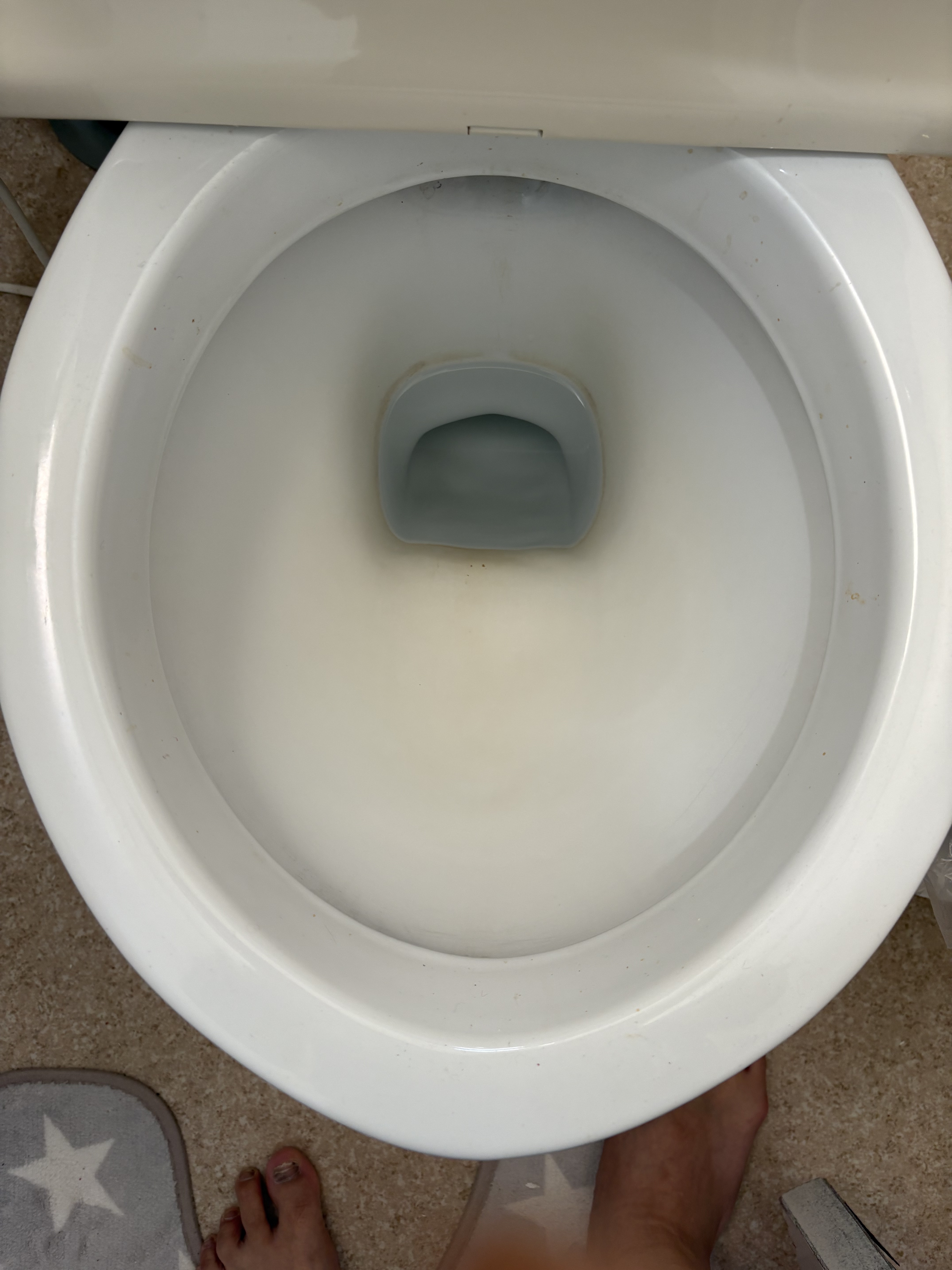 トイレハイター/花王/その他を使ったクチコミ（2枚目）