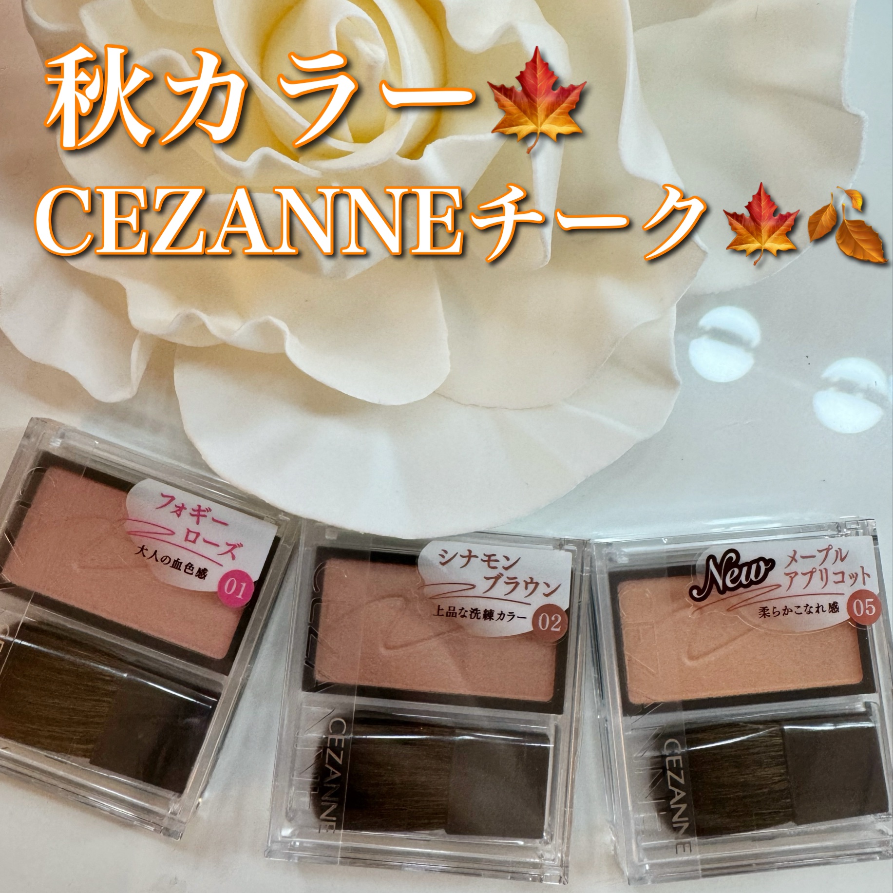 チークブラッシュ/CEZANNE/パウダーチークを使ったクチコミ（1枚目）
