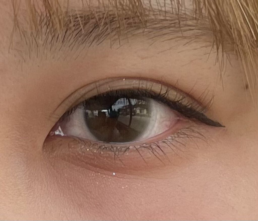 ReVIA 1day/ReVIA/ワンデー（１DAY）カラコンを使ったクチコミ（2枚目）