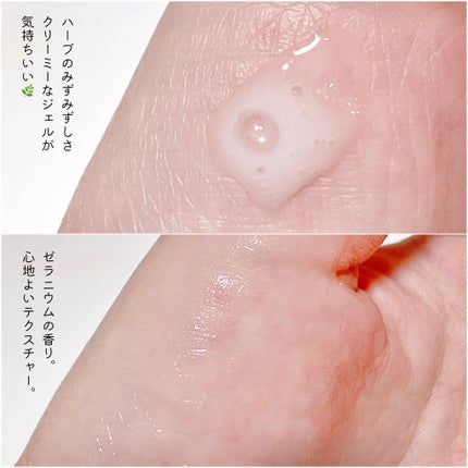 を使ったクチコミ(2枚目)