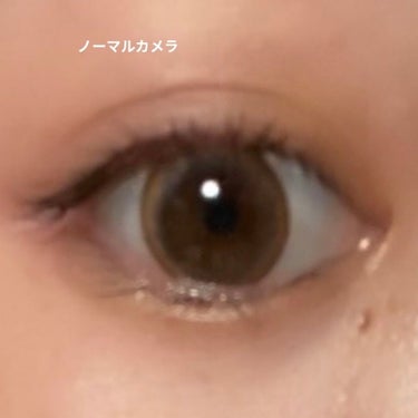 eye closet １day SweetSeries "Girly"（アイクローゼットワンデースウィートシリーズ ガーリー） Brown Grege/EYE CLOSET/ワンデー（１DAY）カラコンの画像