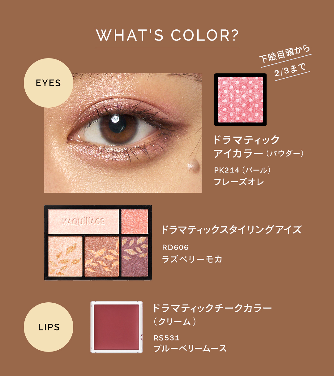 ドラマティックスタイリングアイズ/マキアージュ/アイシャドウパレットを使ったクチコミ（2枚目）