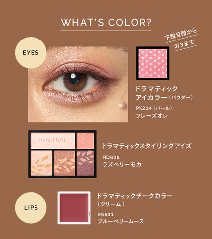 ドラマティックスタイリングアイズ/マキアージュ/アイシャドウパレットを使ったクチコミ(2枚目)