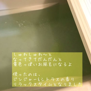 Furo RESORT SPICY DAYS（フューロリゾート　スパイシーデイズ） 10回分/Furo/入浴剤を使ったクチコミ（2枚目）