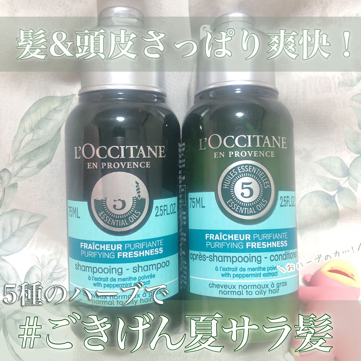 ファイブハーブス ピュアフレッシュネス シャンプー／コンディショナー シャンプー75ml/L'OCCITANE/市販シャンプーを使ったクチコミ（1枚目）