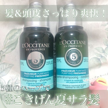 ファイブハーブス ピュアフレッシュネス シャンプー／コンディショナー コンディショナー75ml/L'OCCITANE/シャンプー・コンディショナーを使ったクチコミ（1枚目）