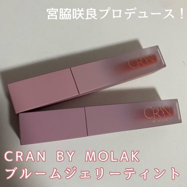 BLOOM JELLY TINT  02 Pink Petal/CRAN BY MOLAK /口紅を使ったクチコミ（1枚目）