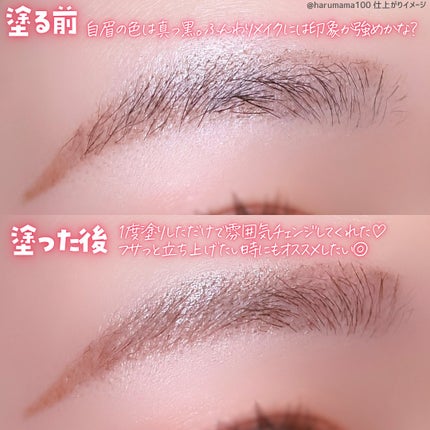 ヘビーローテーション カラーリングアイブロウEX/ヘビーローテーション/眉マスカラを使ったクチコミ(3枚目)