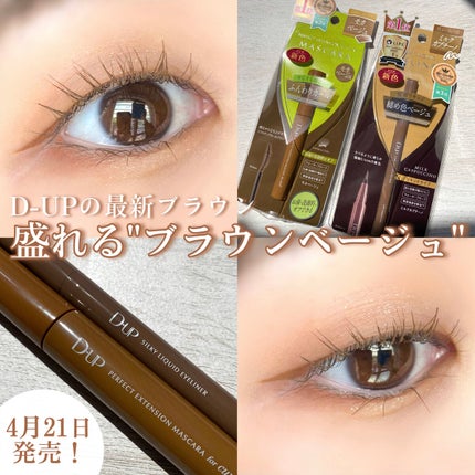 シルキーリキッドアイライナーWP/D-UP/リキッドアイライナーを使ったクチコミ(1枚目)