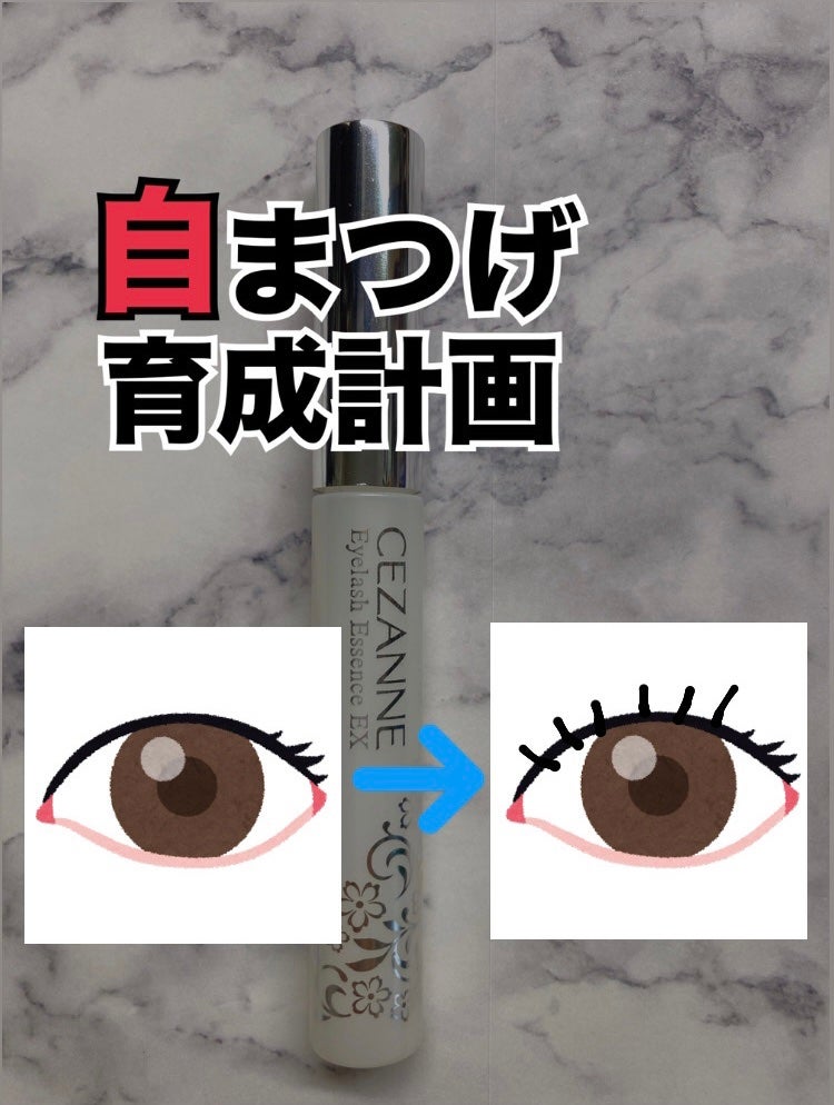 まつげ美容液EX/CEZANNE/まつげ美容液を使ったクチコミ(1枚目)